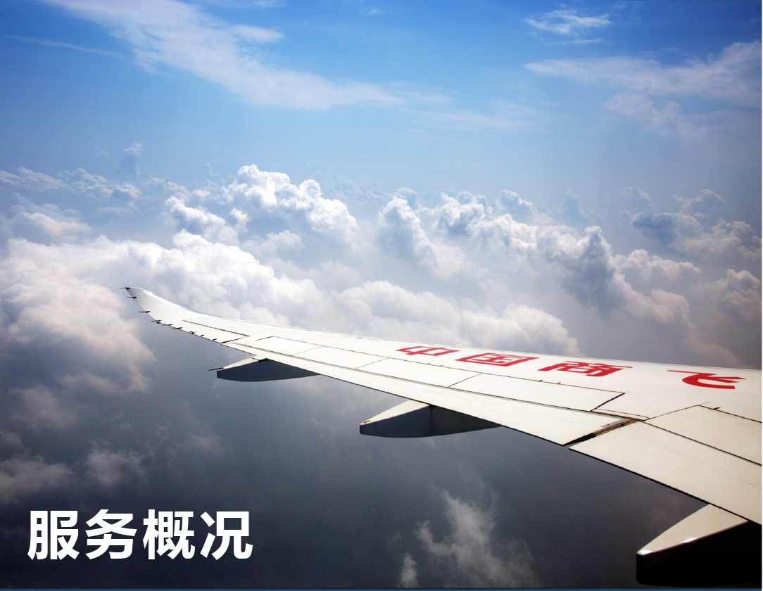 中文首页（服务概括）小图.jpg